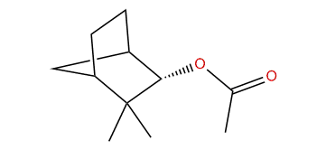 endo-Isocamphanyl acetate